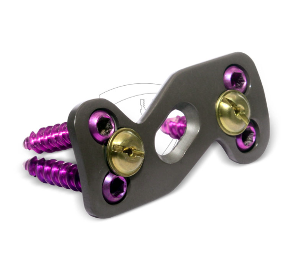 Cervical Spine Plate